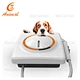 ultrasonic tooth scaler